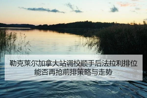 lei-ke-lai-er-jia-na-da-zhan-diao-xiao-shun-shou-hou-fa-la-li-pai-wei-neng-fou-zai-qiang-qian-pai-ce-lve-yu-zou-shi-2-393.jpg