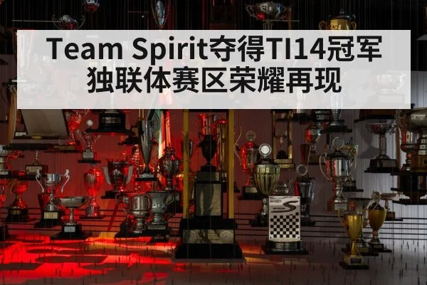 Team Spirit夺得TI14冠军 独联体赛区荣耀再现